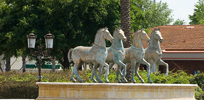 Local landmarks