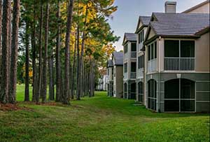 Alvista Metrowest Condos and trees
