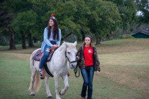 Young woman riding white horse